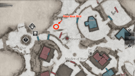 Resident Evil Village Rare Bird Map 2