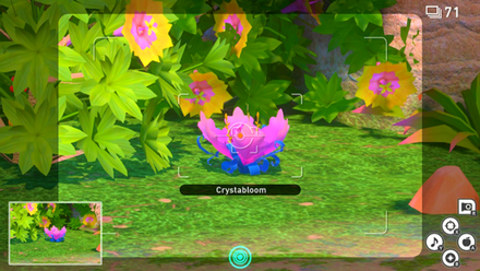 Beach (Day) - Crystabloom 1.png