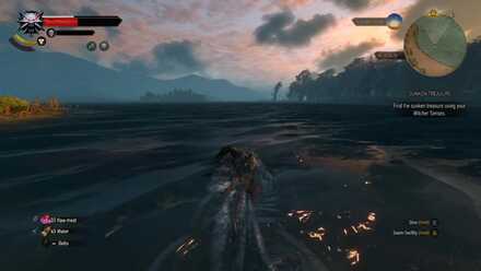 Swimming into the open water