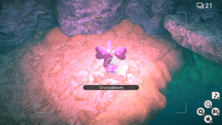 New Pokemon Snap - Undersea Crystabloom4