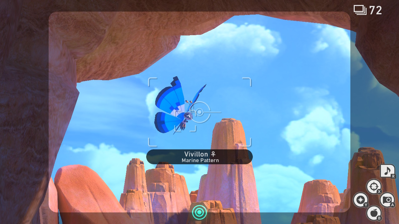 Marine Vivillon Pattern Beach Day.jpg