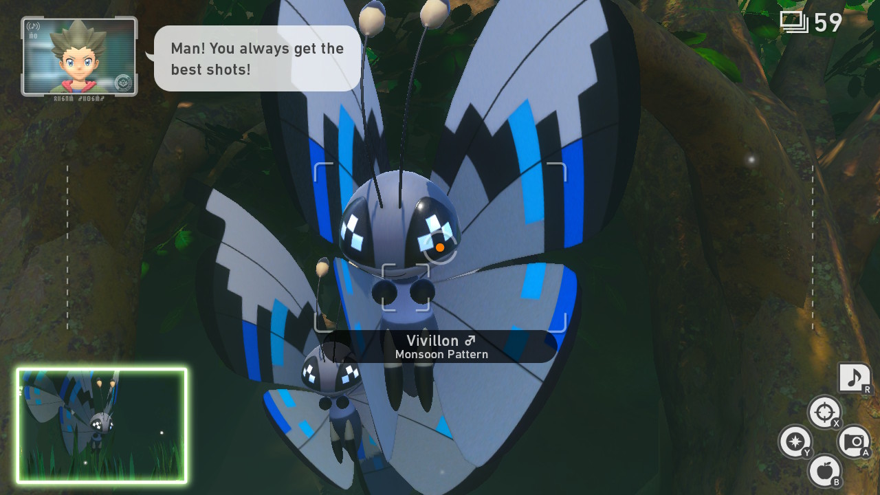 Monsoon Vivillon Pattern Jungle Day.jpg