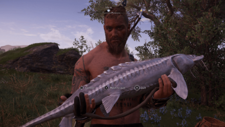 Big Sturgeon (AC Valhalla).png
