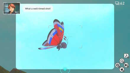 Modern Vivillon Wing Pattern Forest.jpg