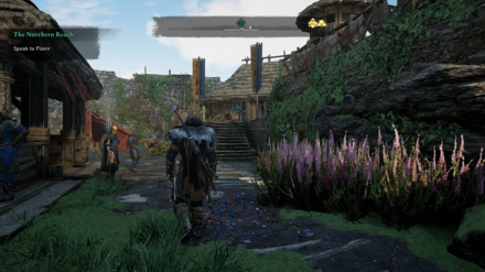 The Northern Reach - Speak to Flann.png