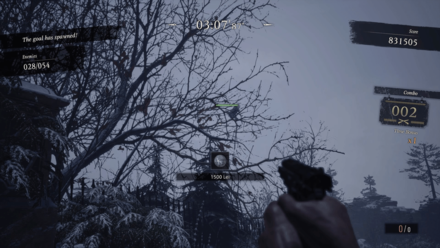 Castle II Area 4 Birds