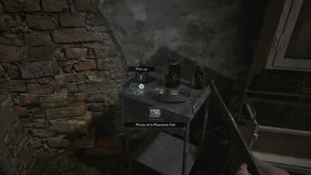 Photo of a Phantom Fish.jpg