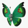 New Pokemon Snap Vivillon Garden Pattern.png