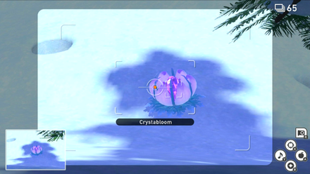Snowfields (Day) - Crystabloom 1.png
