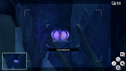 Snowfields (Day) - Crystabloom 2.png