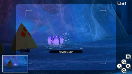 Snowfields (Day) - Crystabloom 5.png