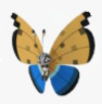 New Pokemon Snap Vivillon River Pattern.png