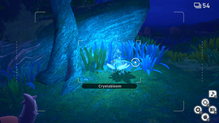 New Pokemon Snap - Park (Night) Crystabloom1