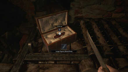 Large Pigeon Blood Ruby.jpg