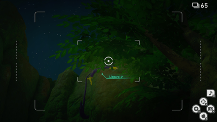 New Pokemon Snap - Jungle (Night) Ruins Alternate Route Liepard