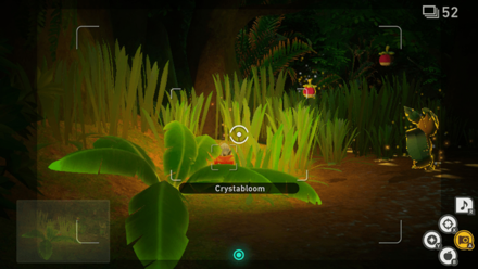 New Pokemon Snap - Jungle (Night) Crystabloom1