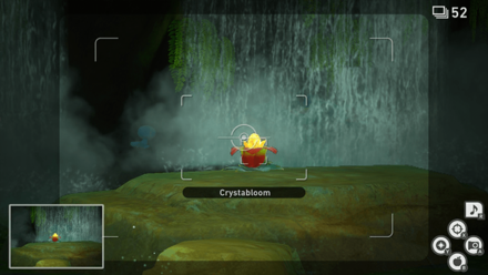 New Pokemon Snap - Jungle (Night) Crystabloom4