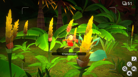New Pokemon Snap - Jungle (Night) Glowing Crystabloom