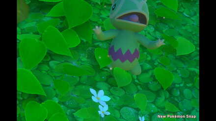 Kecleon Locations and How to Get All Stars | New Pokemon Snap (Switch)｜Game8