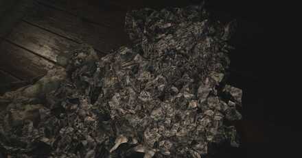 Resident Evil Village Four-Winged Unborn Key Location