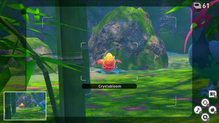 Forest - Crystabloom 2.png