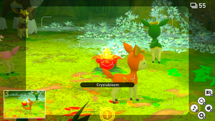 Forest - Crystabloom 7.png