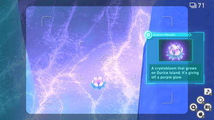 New Pokemon Snap - Snowfields (Night) Glowing Crystabloom