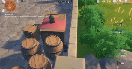 Genshin - Dawn Winery Hiding Spot 3