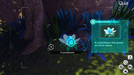 New Pokemon Snap - Park (Day) Research Spot2