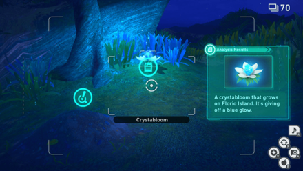 New Pokemon Snap - Park (Night) Research Spot2