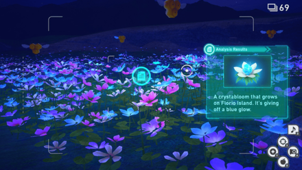 New Pokemon Snap - Park (Night) Research Spot5