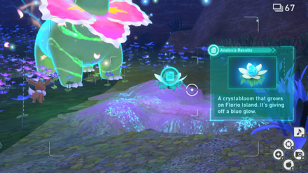 New Pokemon Snap - Illumina Spot (Florio Nature Park) Research Spot 1