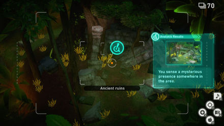 New Pokemon Snap - Jungle (Night) Research Spot 3