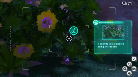 New Pokemon Snap - Beach (Night) Research Spot1