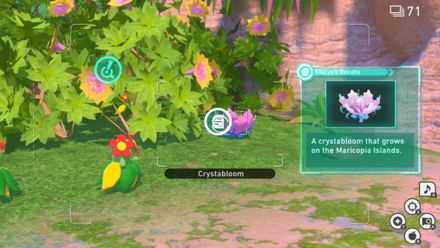 New Pokemon Snap - Beach (Day) Research Spot3