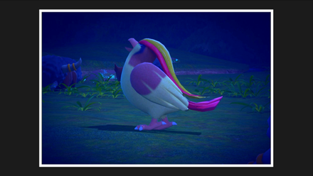 Park Night 3 Star Pidgeot.png