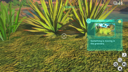 New Pokemon Snap - Sands (Day) Research Spot 7