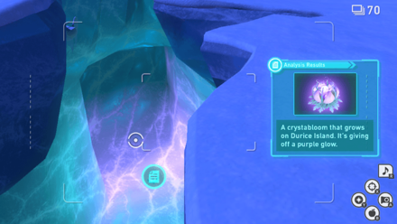 New Pokemon Snap - Snowfields (Night) Research Spot 1