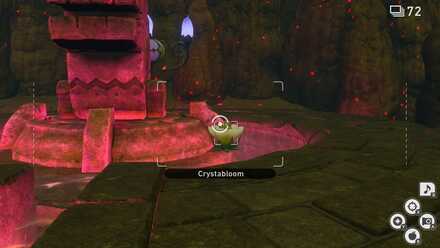 Crystabloom near Chandelure.jpg