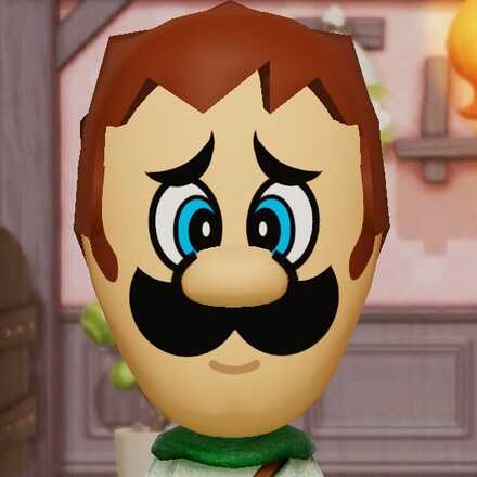 Miitopia Access Key Luigi