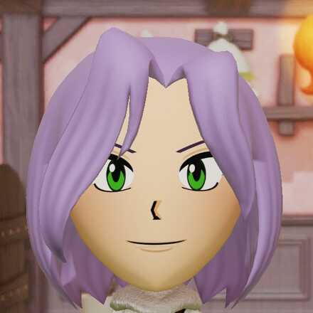 Miitopia Access Key James