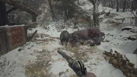 Resident Evil Village - Meat Location - West Old Town.jpg