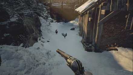 Resident Evil Village - Poultry Location - Fallow Plot.jpg