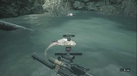 Resident Evil Village - Fish Location - Moreau