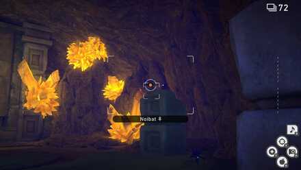 Noibat on Pillar.jpg