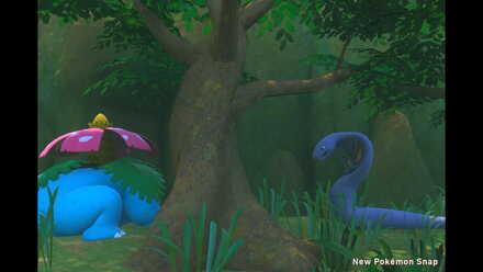 Venusaur sleeping behind the tree.jpg