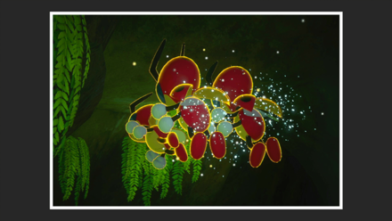 New Pokemon Snap - Ledian 4 Star Photo Step 5