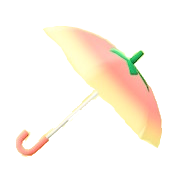 Peach Umbrella Image