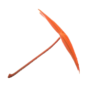 Maple-Leaf Umbrella Image