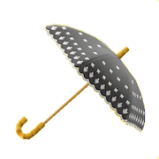 Black Lace Umbrella Image